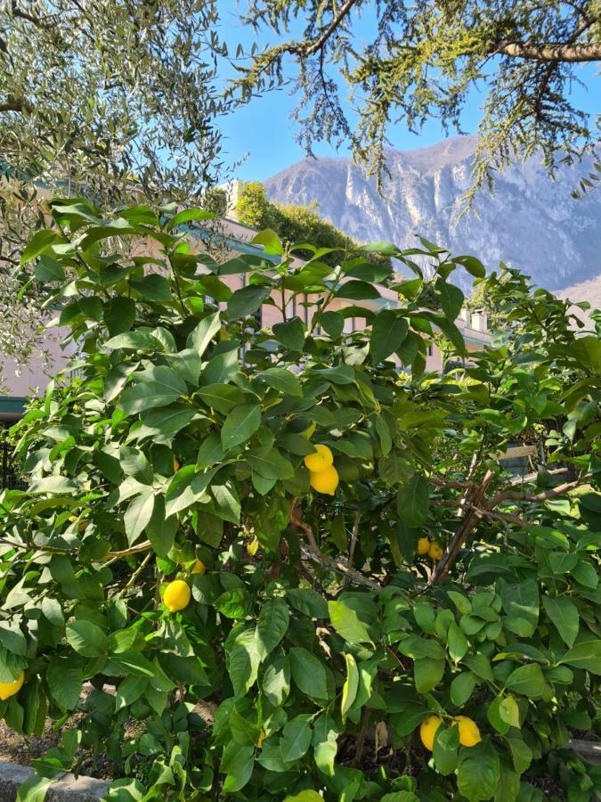 Le Peonie Apartment Riva del Garda Exterior photo