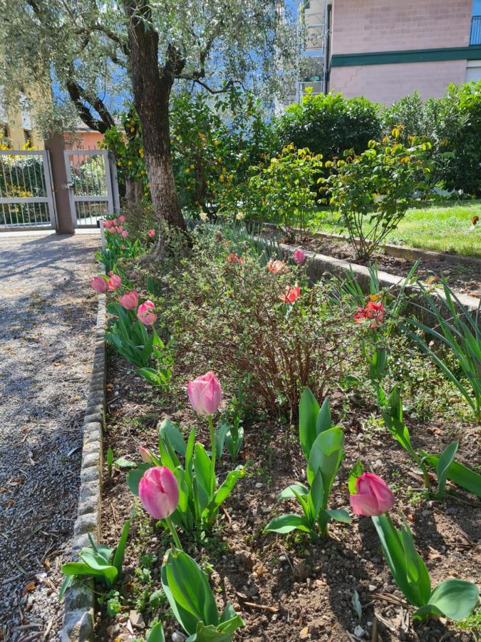 Le Peonie Apartment Riva del Garda Exterior photo